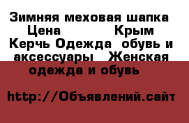 Зимняя меховая шапка › Цена ­ 3 000 - Крым, Керчь Одежда, обувь и аксессуары » Женская одежда и обувь   